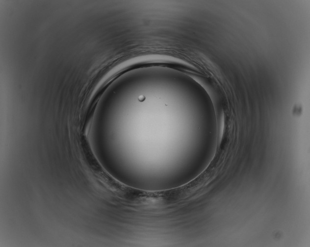 X0000094910552200711291258