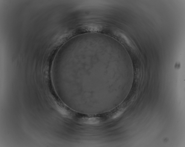 X0000094910553200711291258