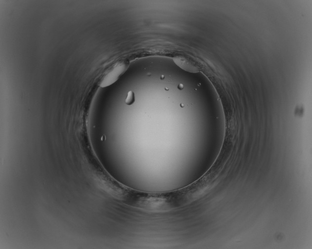X0000094910554200711291258
