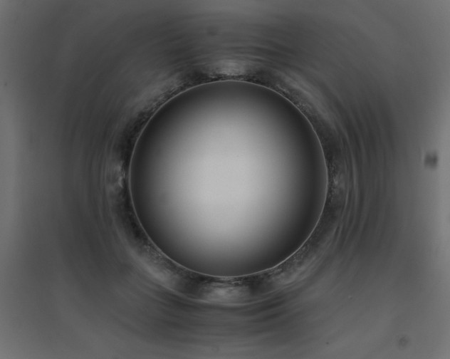X0000094910555200711291258