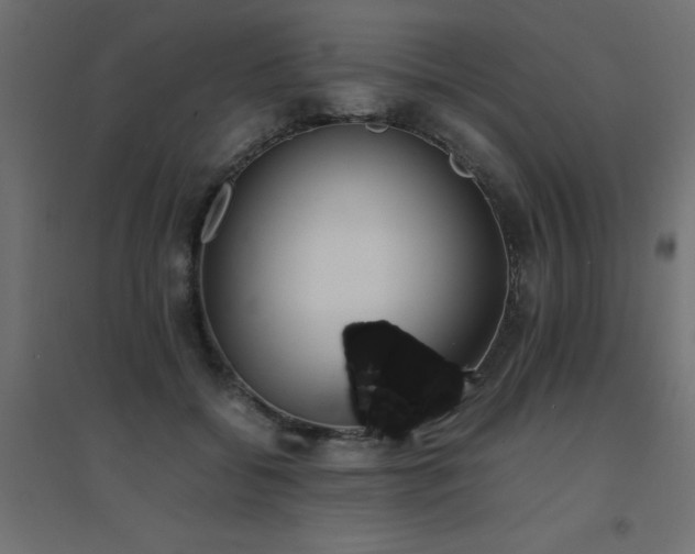 X0000094910556200711291258