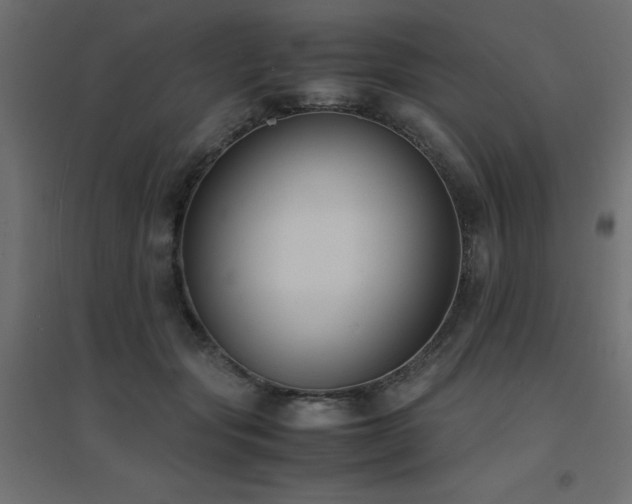 X0000094910557200711291258