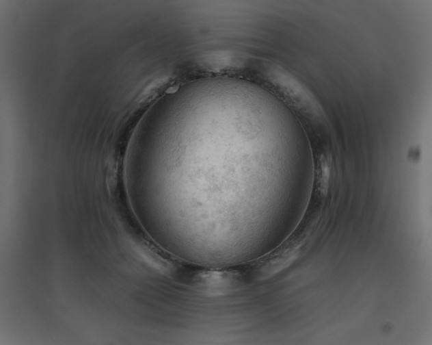 X0000094910558200711291258