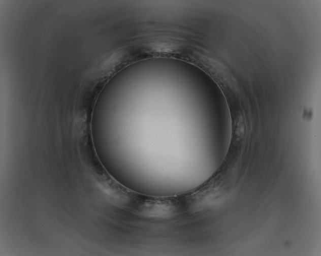 X0000094910559200711291258