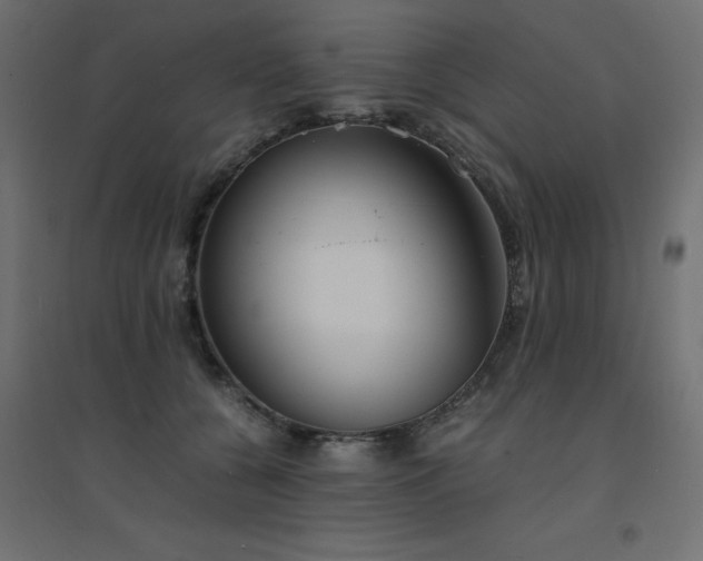 X0000094910560200711291258