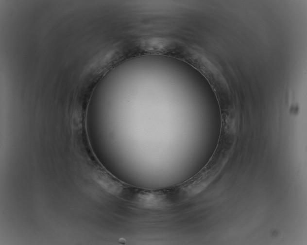 X0000094910561200711291258