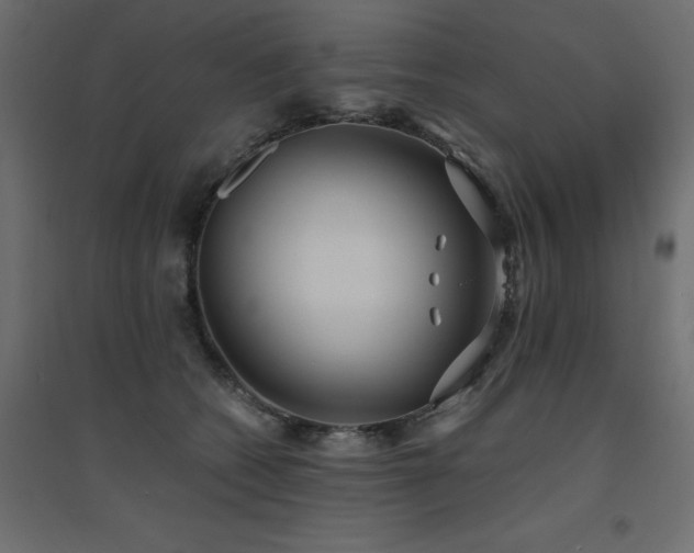 X0000094910562200711291258