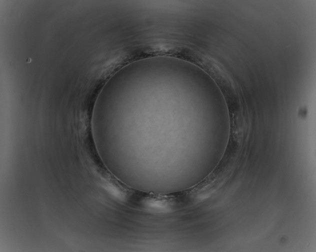 X0000094910563200711291258