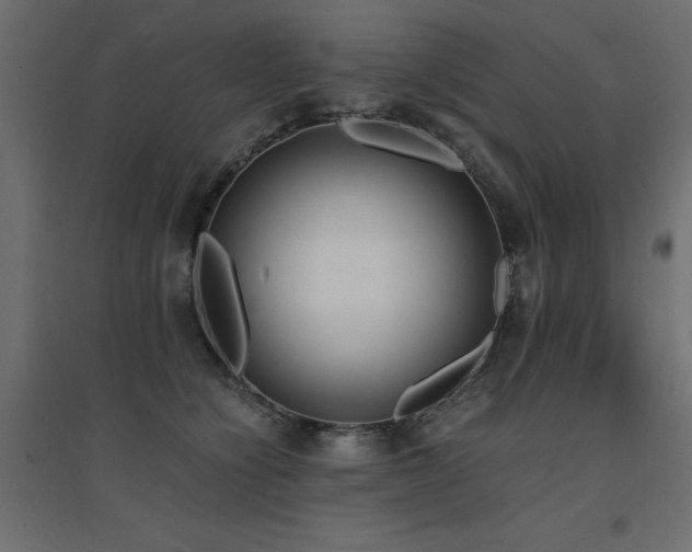 X0000094910564200711291258