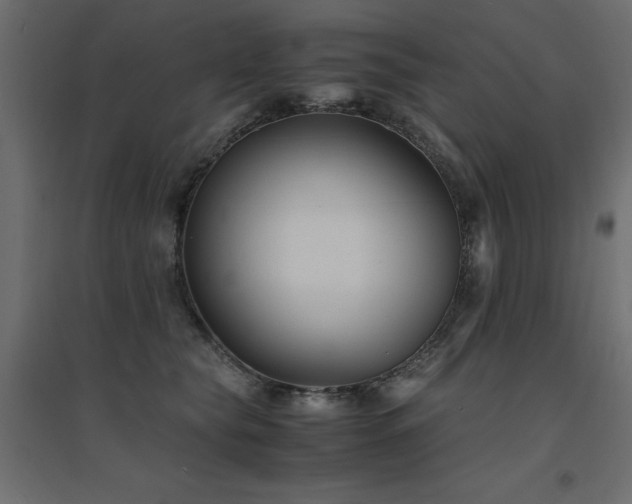 X0000094910565200711291258