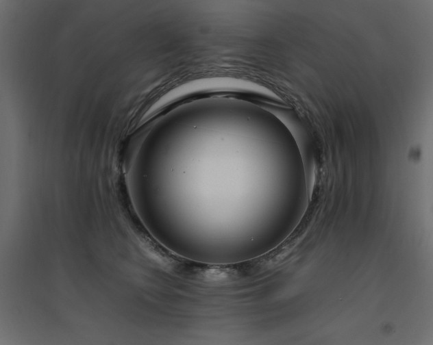 X0000094910566200711291258