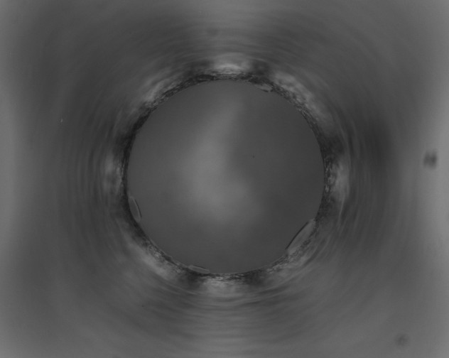 X0000094910568200711291258