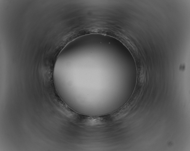 X0000094910569200711291258