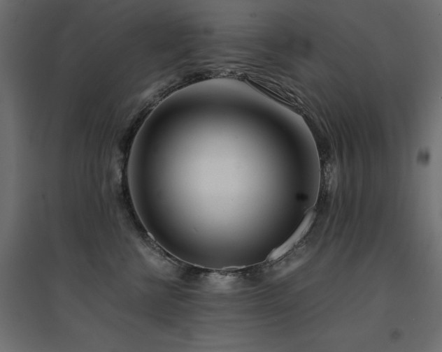 X0000094910570200711291258
