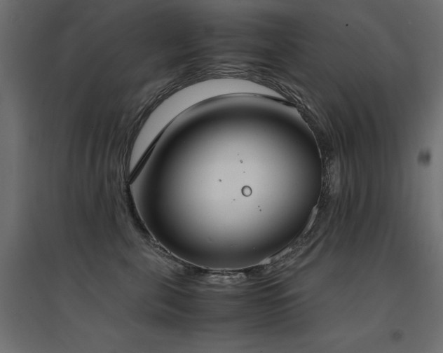 X0000094910571200711291258