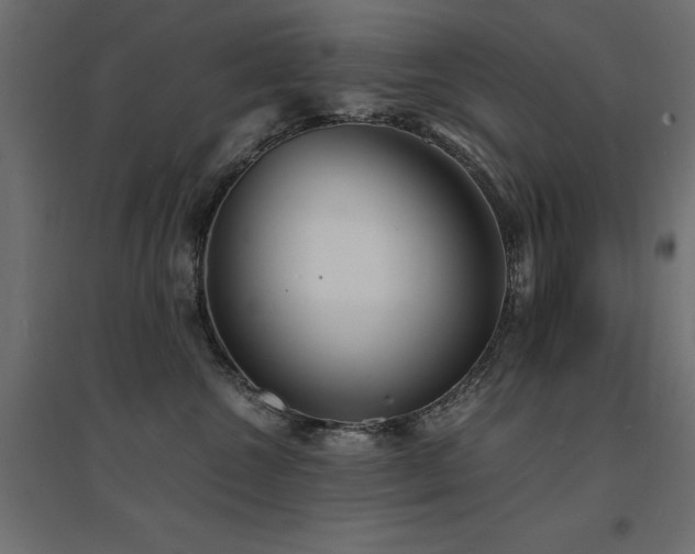 X0000094910572200711291258