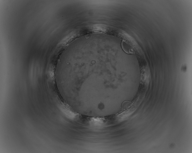 X0000094910573200711291258