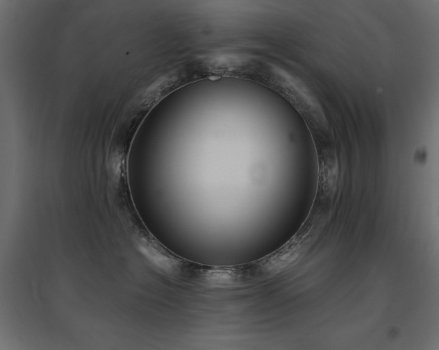X0000094910574200711291258