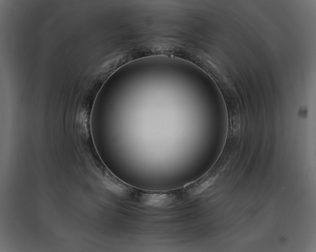 X0000094910575200711291258