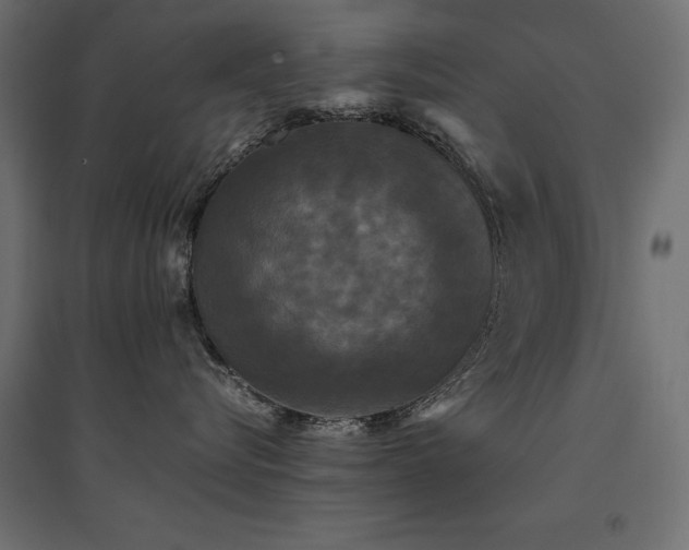 X0000094910576200711291258