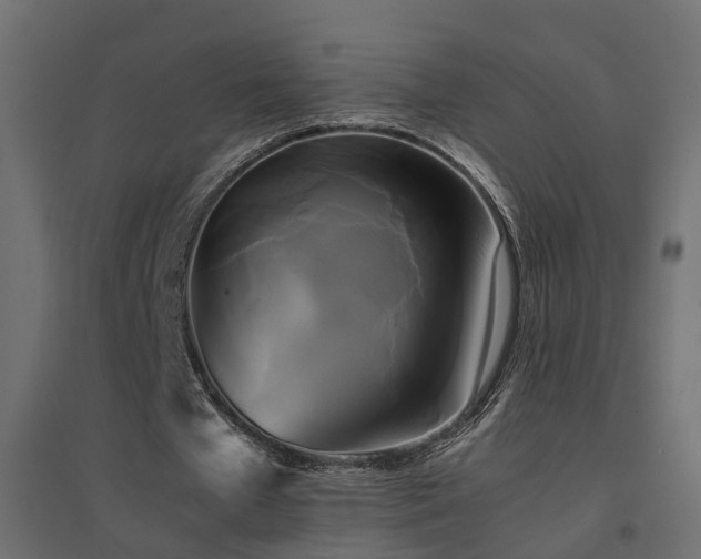 X0000094910577200711291258