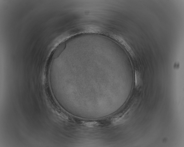 X0000094910579200711291258
