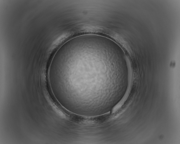 X0000094910581200711291257