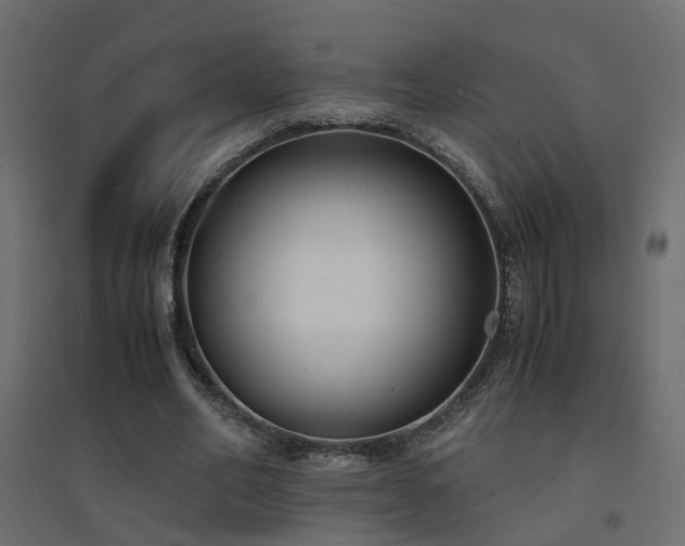X0000094910582200711291257