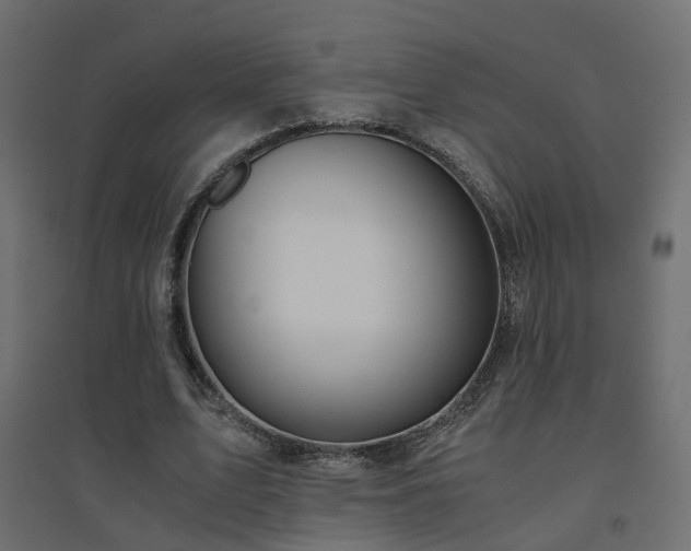 X0000094910583200711291257