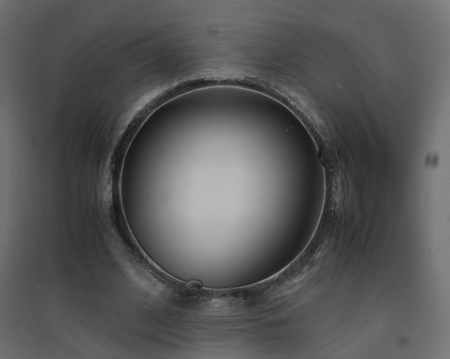 X0000094910584200711291257