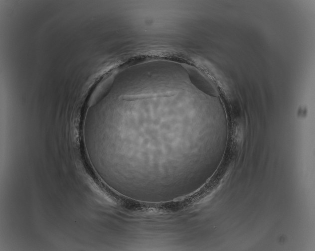 X0000094910585200711291257