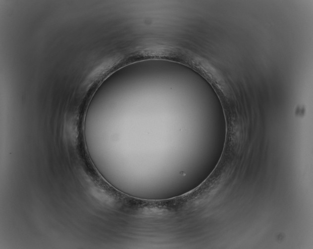 X0000094910586200711291257
