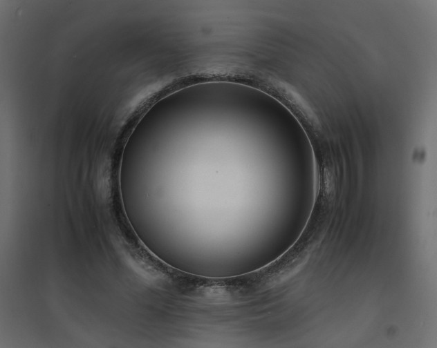 X0000094910588200711291257