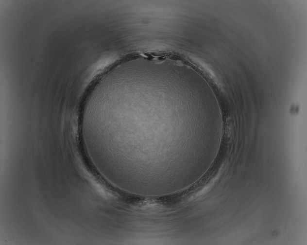 X0000094910589200711291257