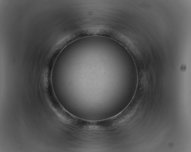 X0000094910590200711291257