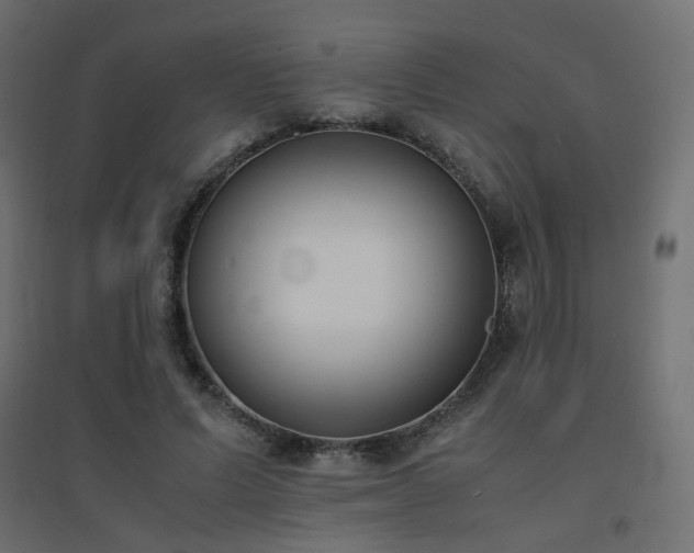 X0000094910591200711291257