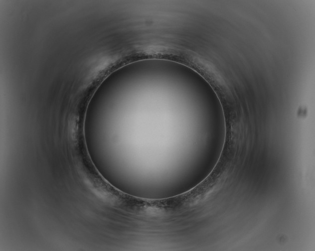 X0000094910592200711291257