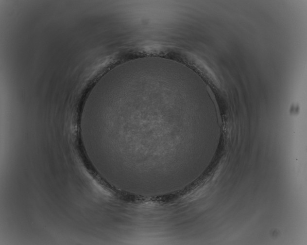 X0000094910593200711291257