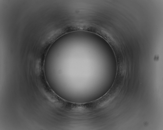 X0000094910594200711291257