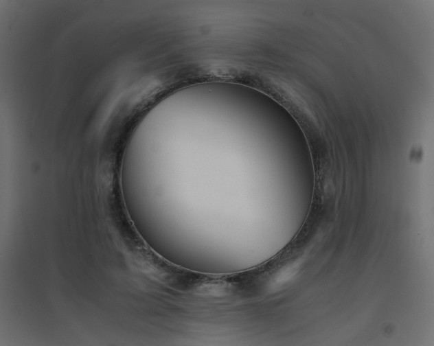X0000094910595200711291257