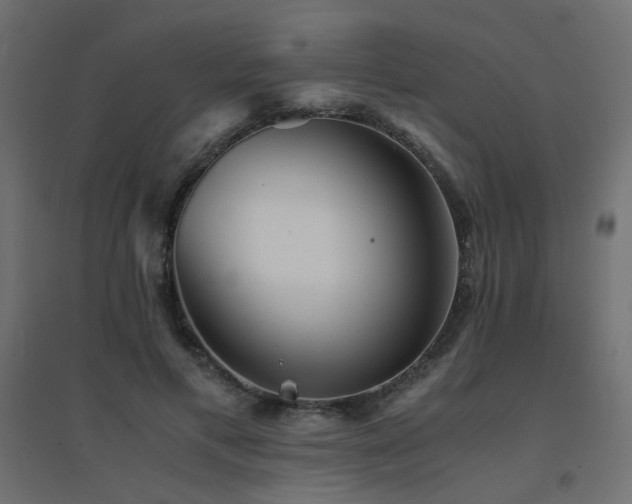 X0000094910597200711291257