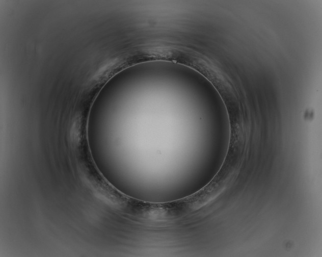 X0000094910600200711291257