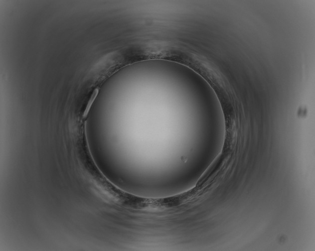 X0000094910601200711291257