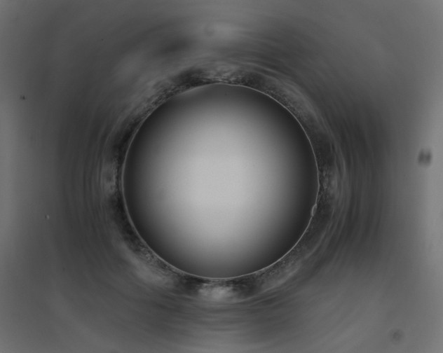 X0000094910602200711291257