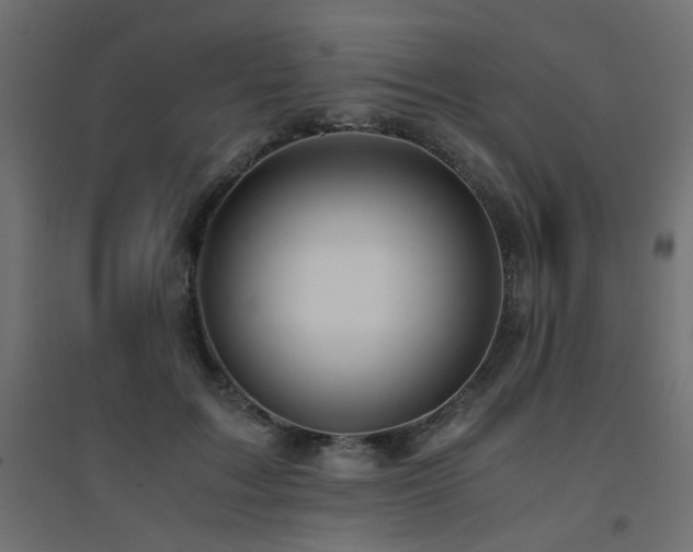 X0000094910603200711291257