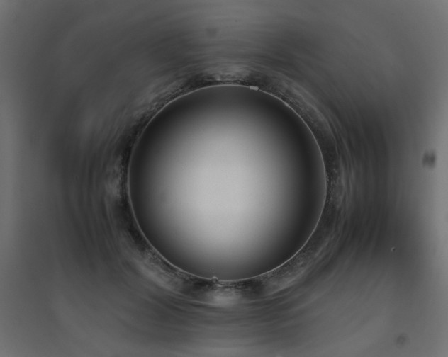 X0000094910604200711291257