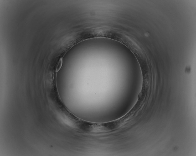 X0000094910605200711291257