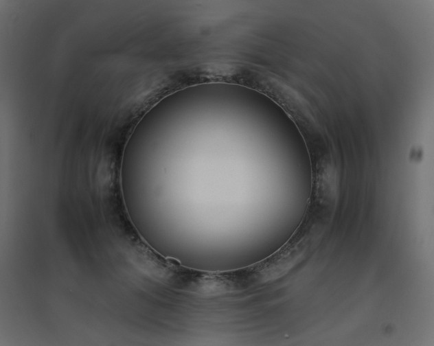 X0000094910608200711291257