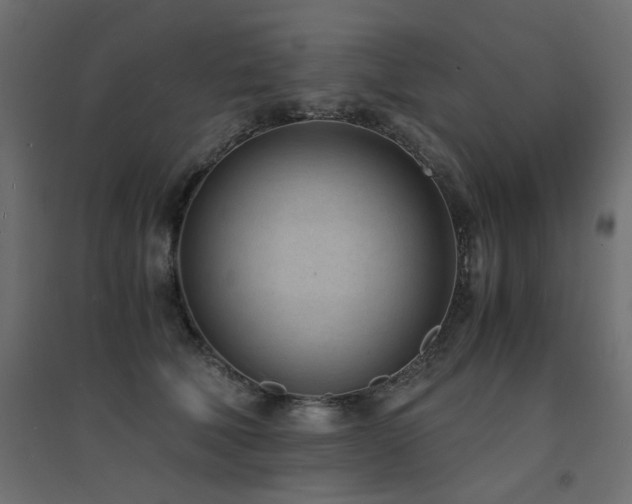 X0000094910610200711291257