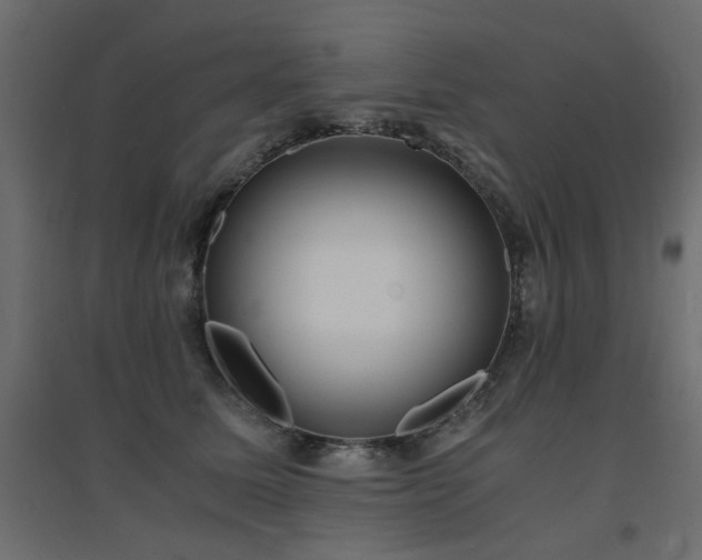 X0000094910611200711291257